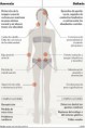 /album/fotogaleria/anorexia-bulimia1-jpg/